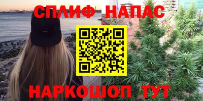 PSILOCYBIN Заводоуковск