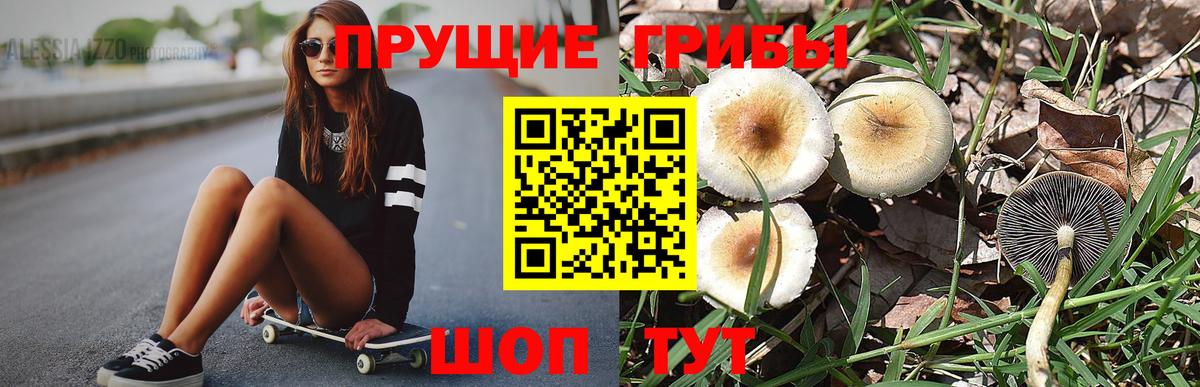 Псилоцибиновые грибы Psilocybine cubensis  Вход с VPN  Минеральные Воды 